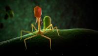 AI designs 16 new viruses in chilling breakthrough: Here's why scientists are worried