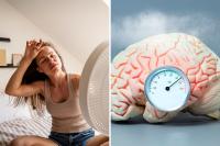 Scientists Monitored Bedrooms at Night. What They Found Was Alarming