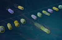 ORNL Combines AI and Synthetic Biology to Accelerate Microbial Engineering