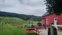 Canada's Under-The-Radar Wine Region Is A Gorgeous Valley Getaway With Scenic Vineyards And River Views