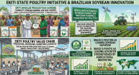 Ekiti Targets 5,000 Youth Jobs in PoultryValue Chain Through Broiler Production Initiative