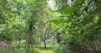 Mid-Michigan Land Conservancy plans new public trail in Ionia Natural Area
