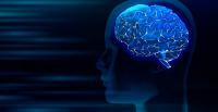 Study finds cognitive aging differs across Asian American communities