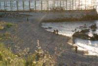 Behind the Ceuta Surge: Peter Schwartzstein and Dimitrios Kantemnidis