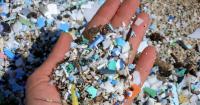 Council Supporting Action to Reduce Microplastic Pollution