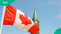 Japa: Boost as Canada adds 75,000 new jobs, survey released