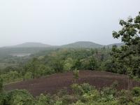 Adilabad District Losing Economic Opportunities as Tourism, Forest...