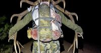 $158,000 for a bull elk? Groups compete to auction Montana hunting licenses