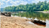 10 Alabama swimming holes to find before the end of summer