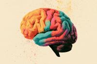 Why Psychedelics Make Everything Feel Deeply Connected