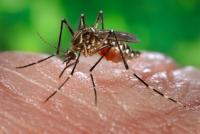 North Dakota reports first case of West Nile virus in 2026
