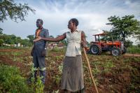 OCPD moves to simplify laws for farmers, pastoralists, fishermen