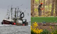 Rural businesses staring over a 'cliff edge' because of surging costs, Tories warn
