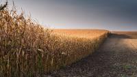 Agricultural experts weigh in on...