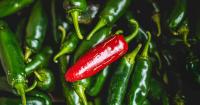 Indiana reports six salmonella cases as contaminated jalapeños are recalled