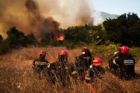 Wildfire Smoke Now Threatens Prenatal Health More Than Harmful Human Emissions