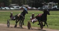 County fair fosters community support for local children