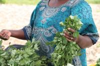 International produce you might find at the farmers market