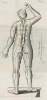A Dutch doctor translated acupuncture through four languages