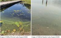 Health officials warn of harmful bacteria in North Idaho’s Fernan Lake, north end of Hayden Lake