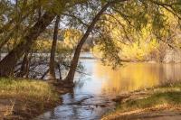 Arizona's Fall Colors Arrive Later And Last Longer Than Most States