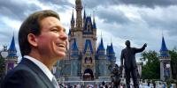 ‘We’re Coming Back to Disney World’: Ron DeSantis and Governing District Approve Free Annual Passes