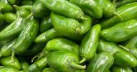 Five Montana cases linked to CDC's multistate jalapeño Salmonella outbreak