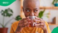 Mzansi’s “red bush” tea is winning global fans, and locals are loving it