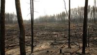 N.W.T. doctor urges action as report shows climate change fuelling fires
