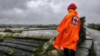 DA: Storm, monsoon damage to agriculture hits P135.3M