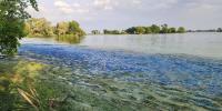 KDHE issues blue-green algae warning for multiple Kansas lakes