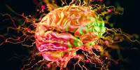 Your Brain Distorts Reality, Groundbreaking Research Shows—Putting You at Risk of Dangerous ‘Shared Hallucinations’