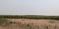 Statewide fire emergency declared for North Dakota as drought persists