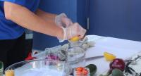 OhioHealth Mansfield Hospital dietitians host live cooking demonstrations at North End Farmers Market