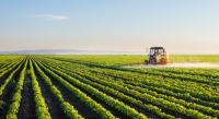 Govt pledges stronger support for private sector in agriculture