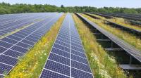 Oh, So Trump Loves Solar Power After All?