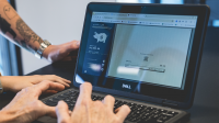 Novatio School expands its special education support