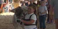 Addison County Fair and Field Days celebrates decades of agricultural tradition