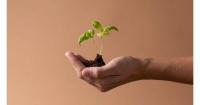 Greek scale-ups shift focus from funding to growth