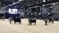 Agribition signs MOU with Argentinian agriculture group
