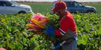 Immigrant workers in Alabama contribute millions in taxes, help drive the state’s economy