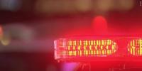 Arizona fugitive captured in Elmore County