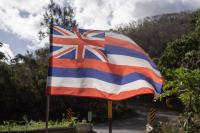 Who should vote in Office of Hawaiian Affairs races? Some say it’s everyone’s kuleana