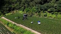 South Korea utilizes drones to warn farmers of excessive heat