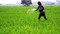 Odisha Govt Ensures Fertilizer Supply For Kharif 2026, Warns Against Black Marketing