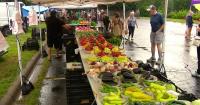 Food scares prompt safety questions for Twin Cities farmers markets