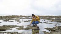 California Scientists Creating a 'Noah's Ark' Of Local Tide Pools