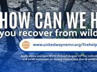 Deadline this week for $190,000 to assist Ely area businesses and individuals impacted by wildfires
