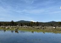 Sunriver: A Central Oregon Treasure