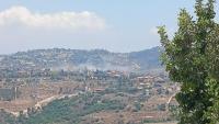 Israeli forces carry out attacks in southern Lebanon